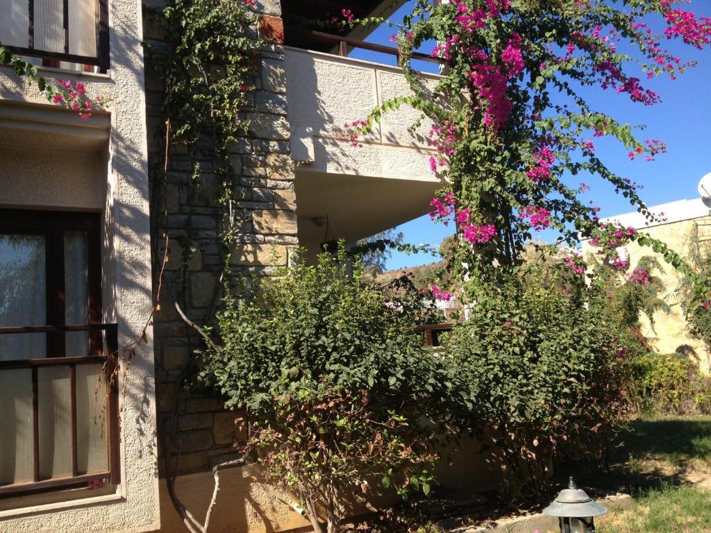 ביטז Villanaz Apart Hotel מראה חיצוני תמונה